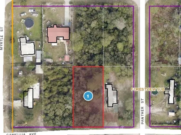 Camellia Avenue Lot #6, Paisley, FL 32767