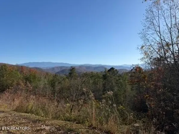 PARCEL 53-050.00 Obes Branch Rd, Sevierville, TN 37876