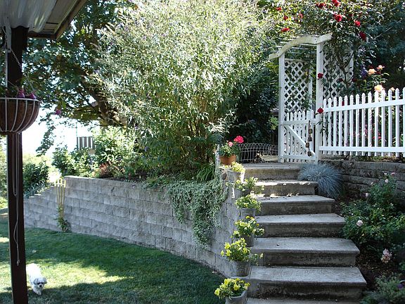 Steps to driveway
