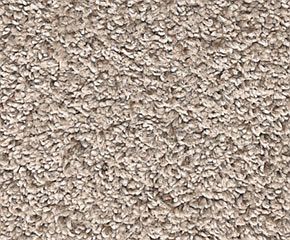 Carpet Mohawk Raise The Bar Harmonious