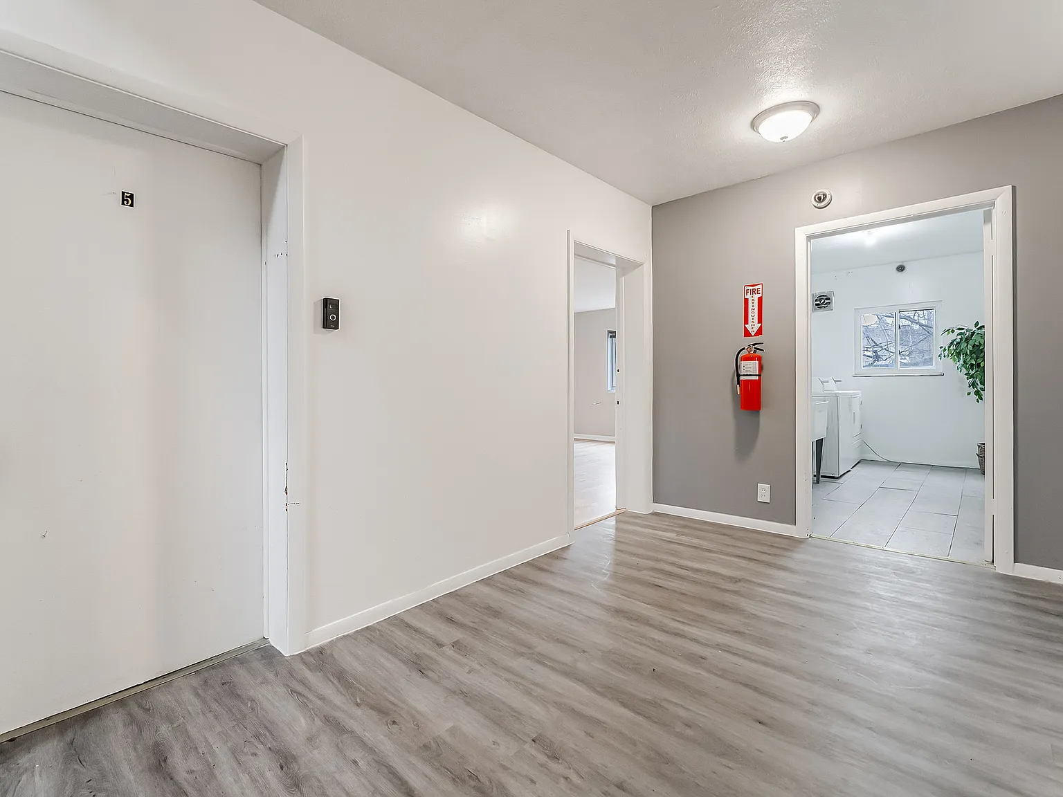 1 bed, 650 sqft, $950 — Photo 2