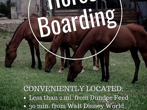 Horse Boarding Option Avail