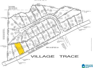 1760 Village Springs Rd, Springville, AL 35146