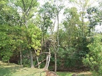 3rd image of 604 Burnside Dr