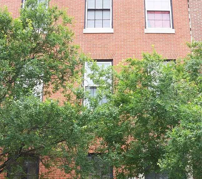 710 Saint Paul — Photo 1