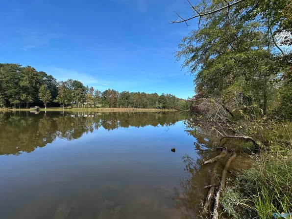 LOT 40 Haven Point, Riverside, AL 35135
