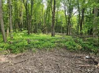 Lake Shore Rd #17, Angola, NY 14006