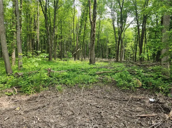 Lake Shore Rd #17, Angola, NY 14006