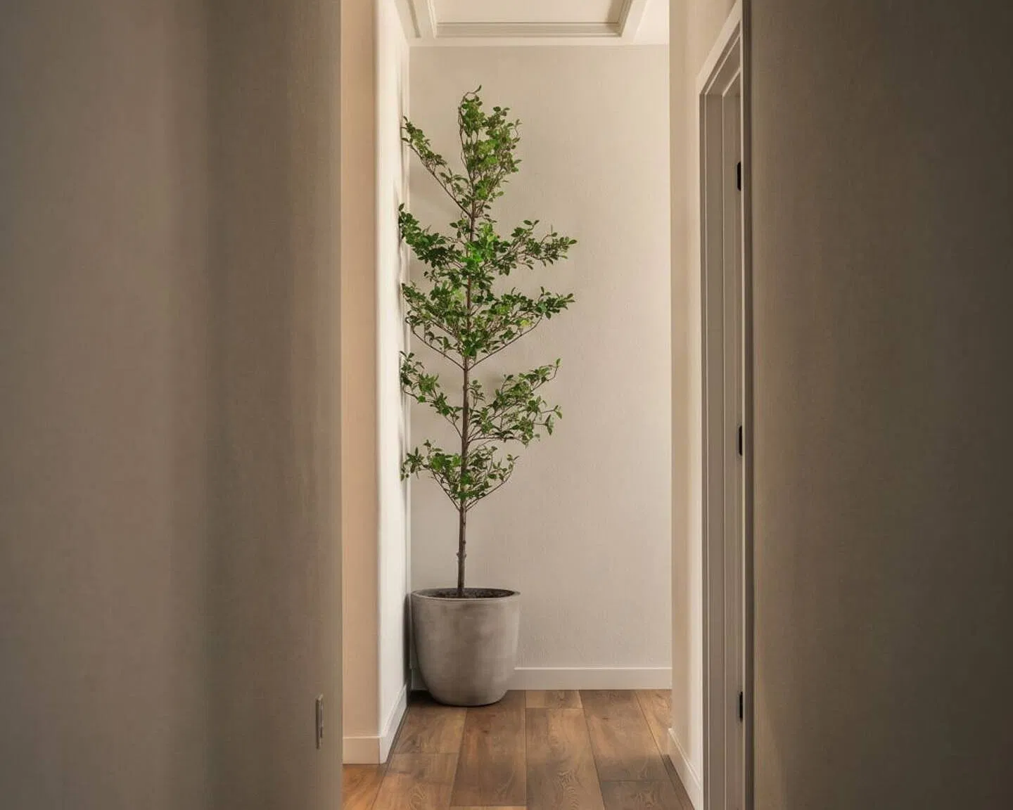 3 bed, 1824 sqft, $6,500 — Photo 3