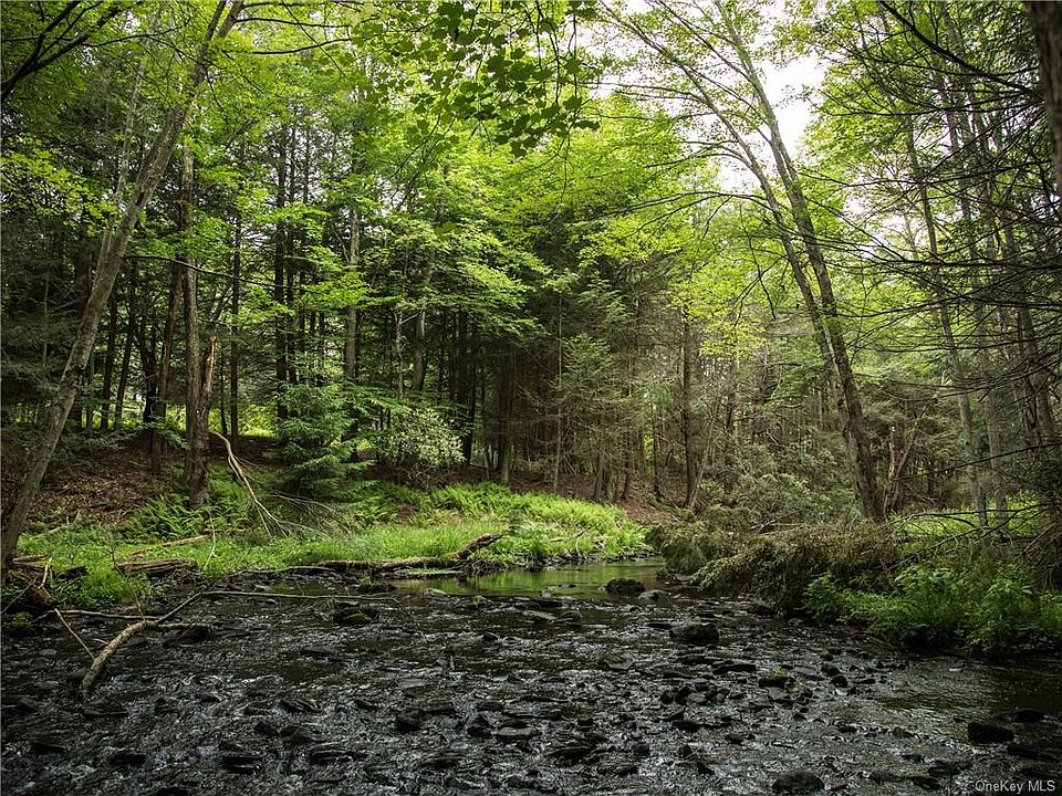 Lot 4 Chapin Trail, Bethel, NY 12720 MLS H6204195 Zillow