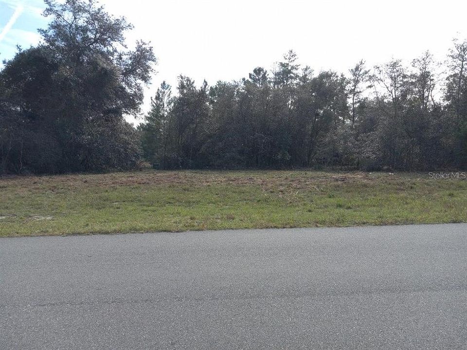 1st image of MARION OAKS GOLF WAY LOT 6