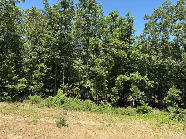 54 Seven Lakes Ranch Ests, Conway, AR 72032