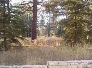 4682 Larkspur Rd, Show Low, AZ 85901