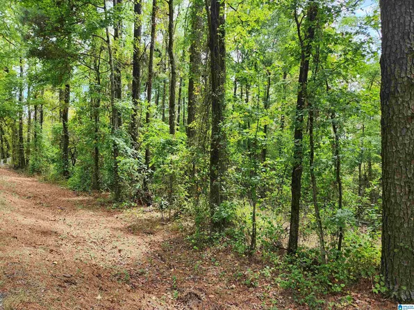 W County Road 10 #0, Montevallo, AL 35115