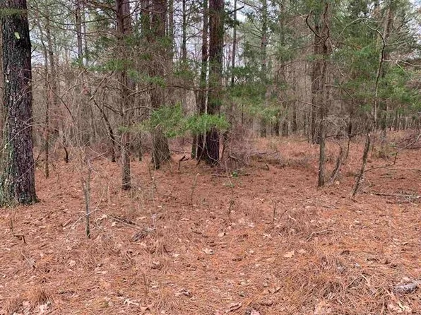 Bullman Rd, Finger, TN 38334