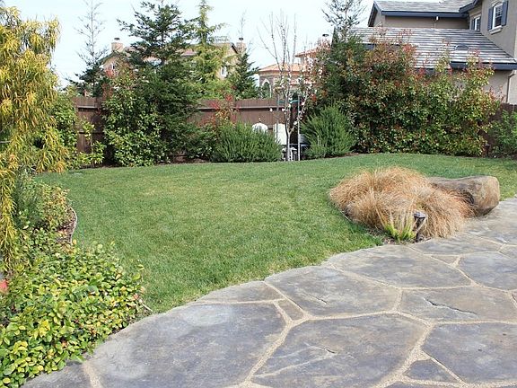 LANDSCAPING & GRASSY AREA