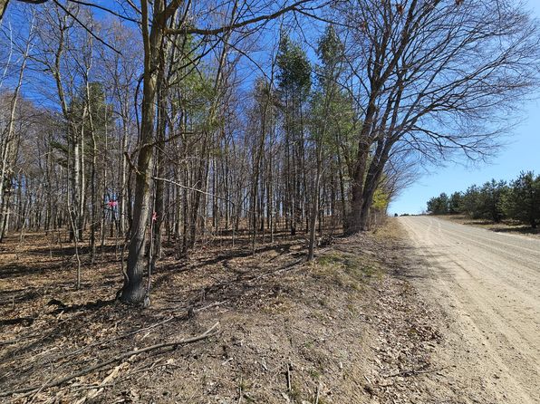 W Waterwheel Rd, Six Lakes, MI 48886