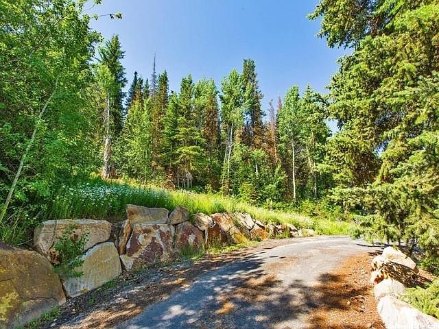 2nd image of 3473 W Big Spruce Way