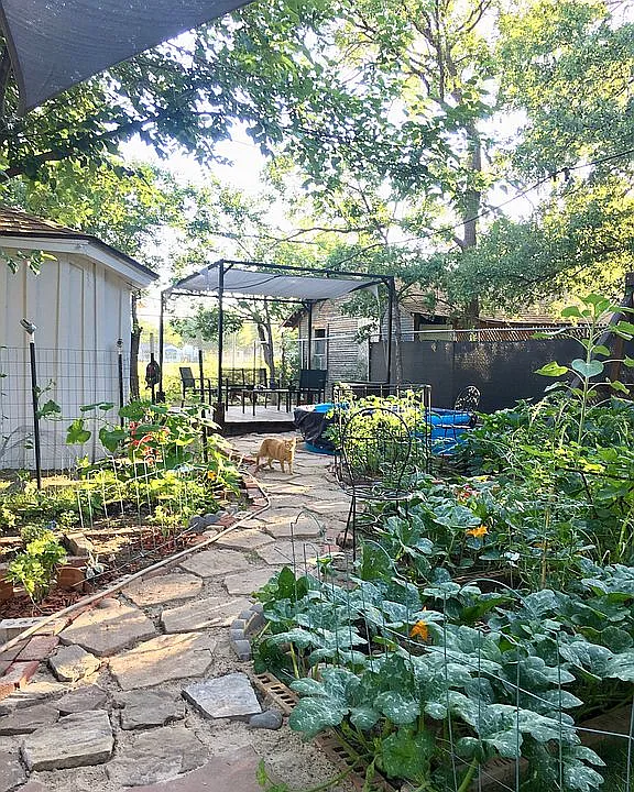 Back yard