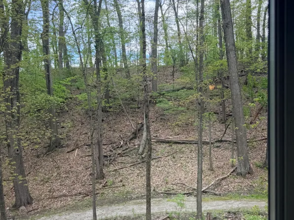 833 Asa Gray Dr, Ann Arbor, MI 48105