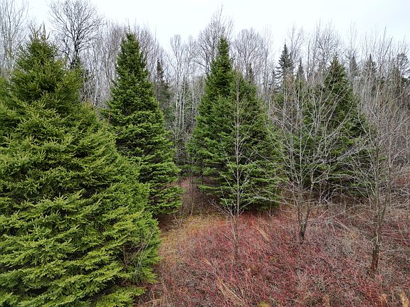 3rd image of Lot 43B Pine Tree Road