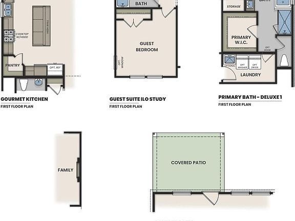 The Ashport Options 1