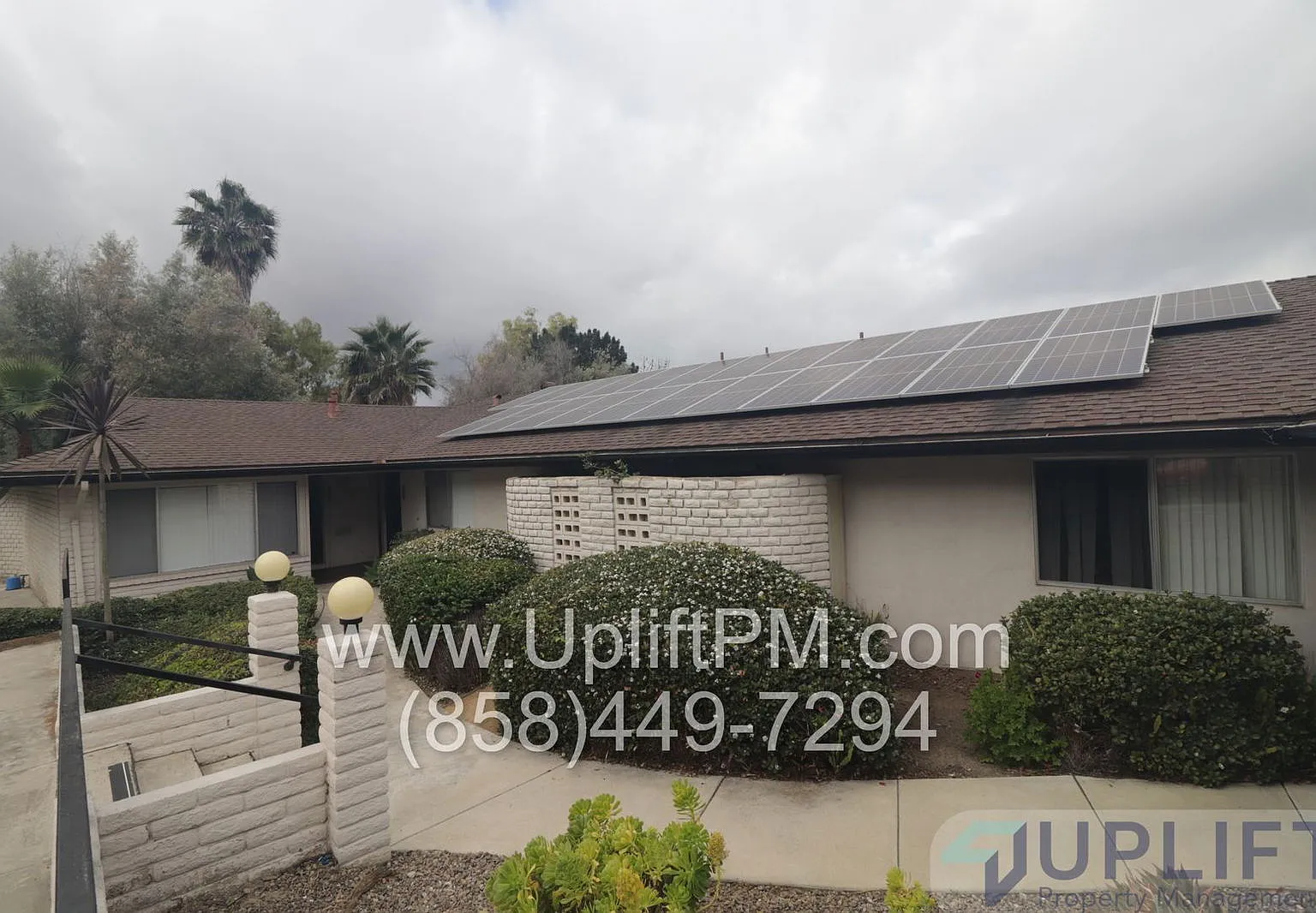 1 bed, 1.0 bath, $2,200 — Photo 1