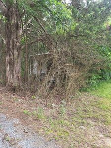 318 Carrie St, Gurdon, AR, 71743