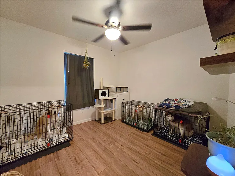 2303 Darnell Dr — Photo 10