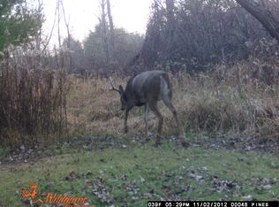 Landstad Rd, Bonduel, WI 54107