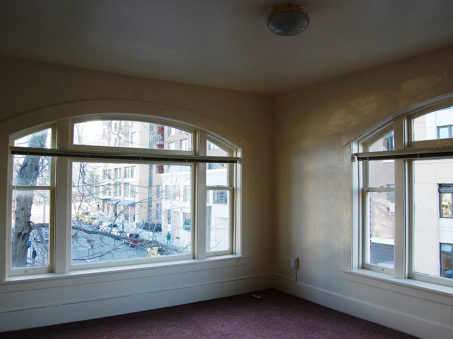Brewster — Photo 3