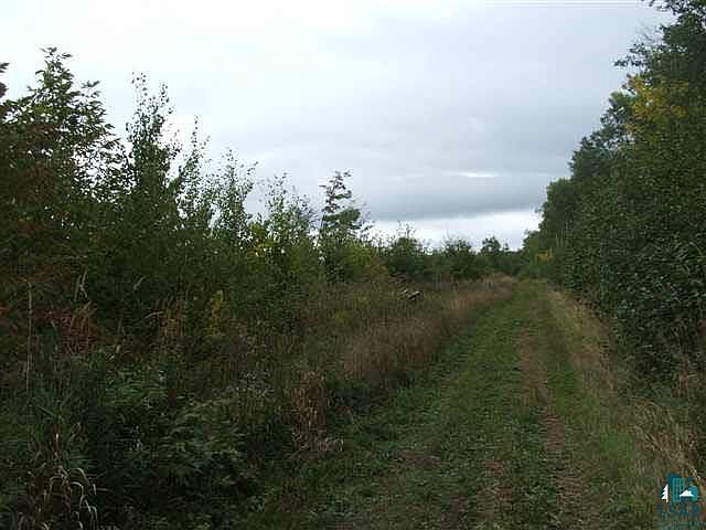 2nd image of 000 Caterpillar Rd
