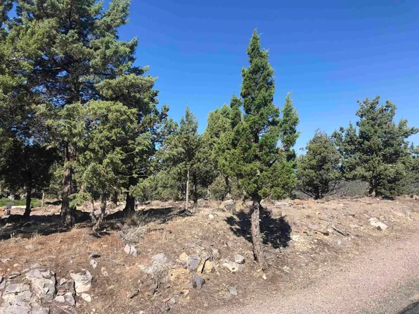 9 2/63 Stone Crest Dr, Weed, CA 96094