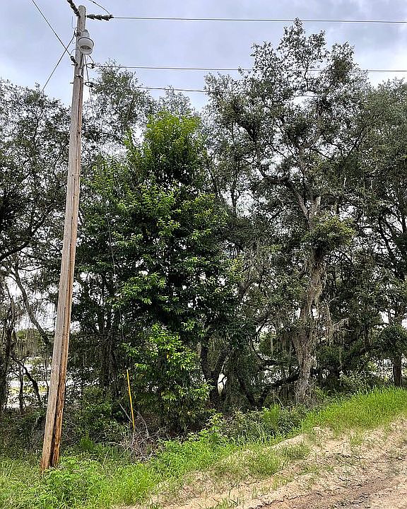 1st image of 156 Lake Lucy Cres