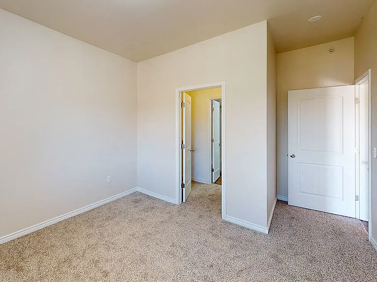 Bedroom with Walk-In Closet