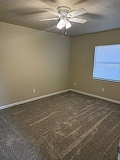 Stainmaster Carpet and Lots of Light in Bedroom Stainmaster Carpet and Lots of Light in Bedroom