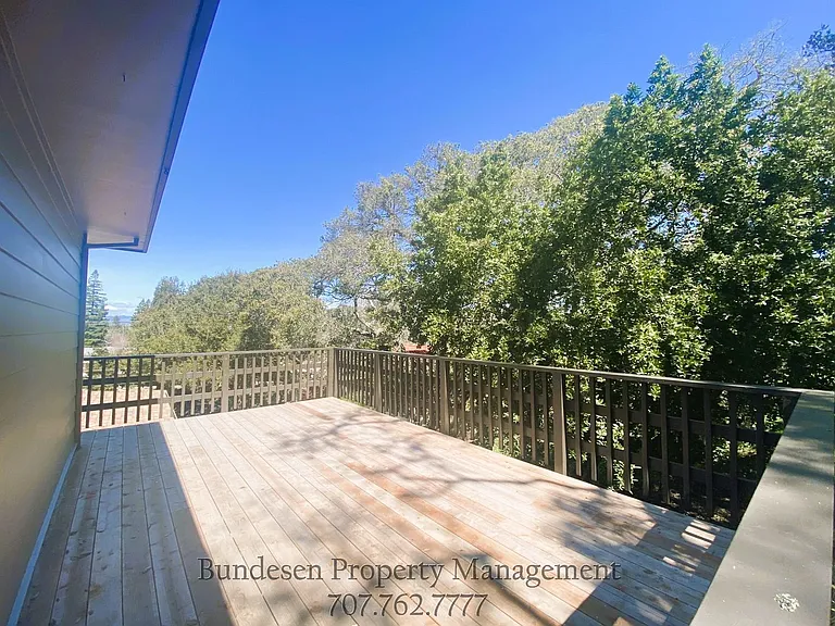 77 Sunny Hill Dr — Photo 15