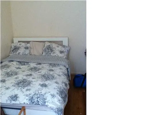 Rented by Ann Ferguson, LLC | media 9