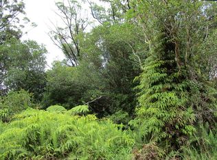 11-2228 Kokokahi Rd LOT 55, Volcano, HI 96785