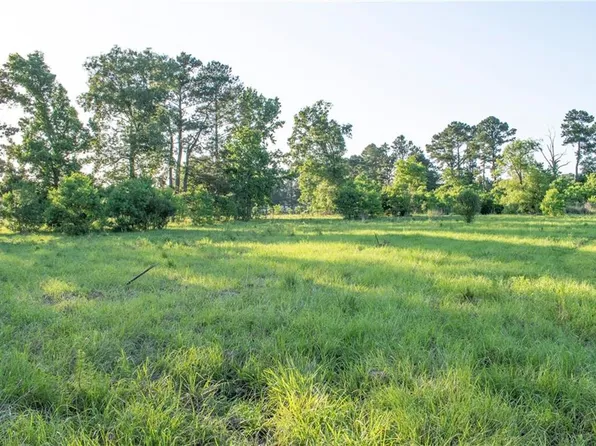 Henry White Rd, Albany, LA 70711