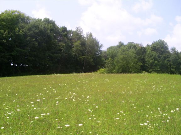 5th image of LOT 925 Hidden Springs Ct