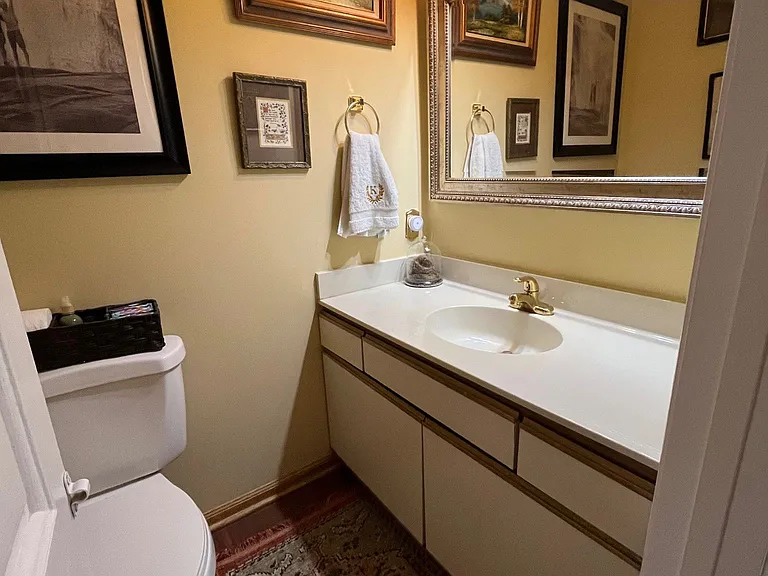 Powder room ( with artistic decor)