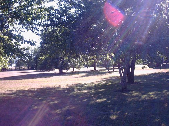 Treed yard east side