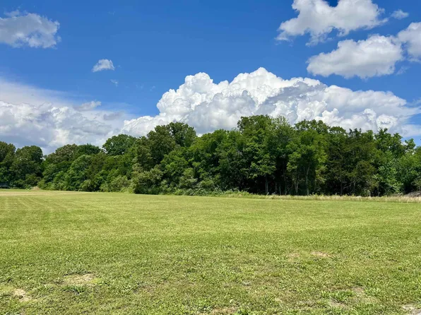 0 Cordova Cv Lot 17, Savannah, TN 38372