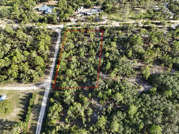 10532 N Turn Around Ter, Dunnellon, FL 34433