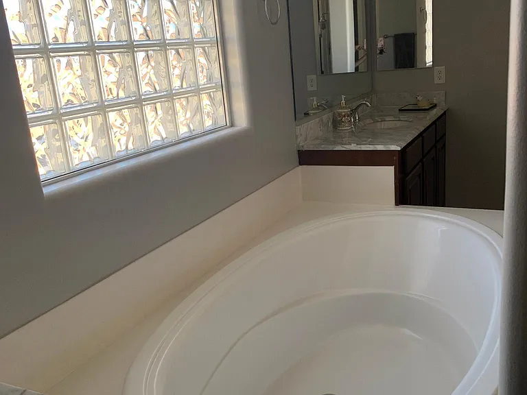 Master Bathroom Shower Tub
