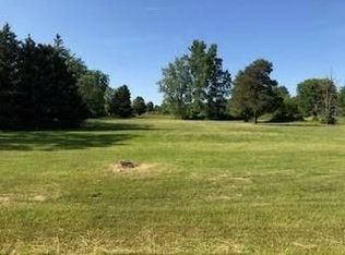 Palms Rd, Goodells, MI 48027