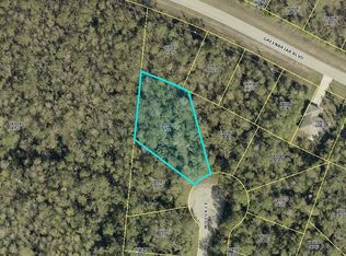1927 Wilcox Ct, Lehigh Acres, FL 33972