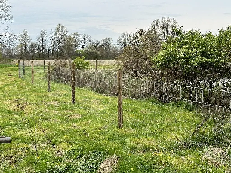 Rapp Dean Rd — Photo 19