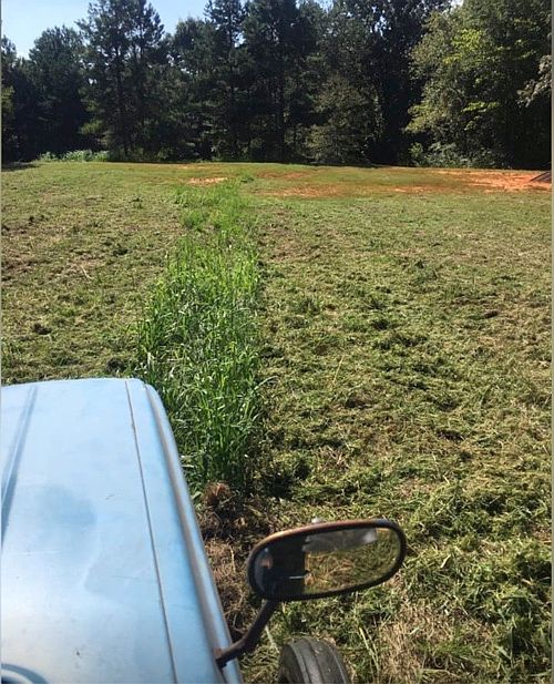 1st image of 501 County Road 989